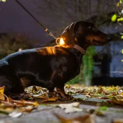 TIAKI Lighthouse LED-valoriipus