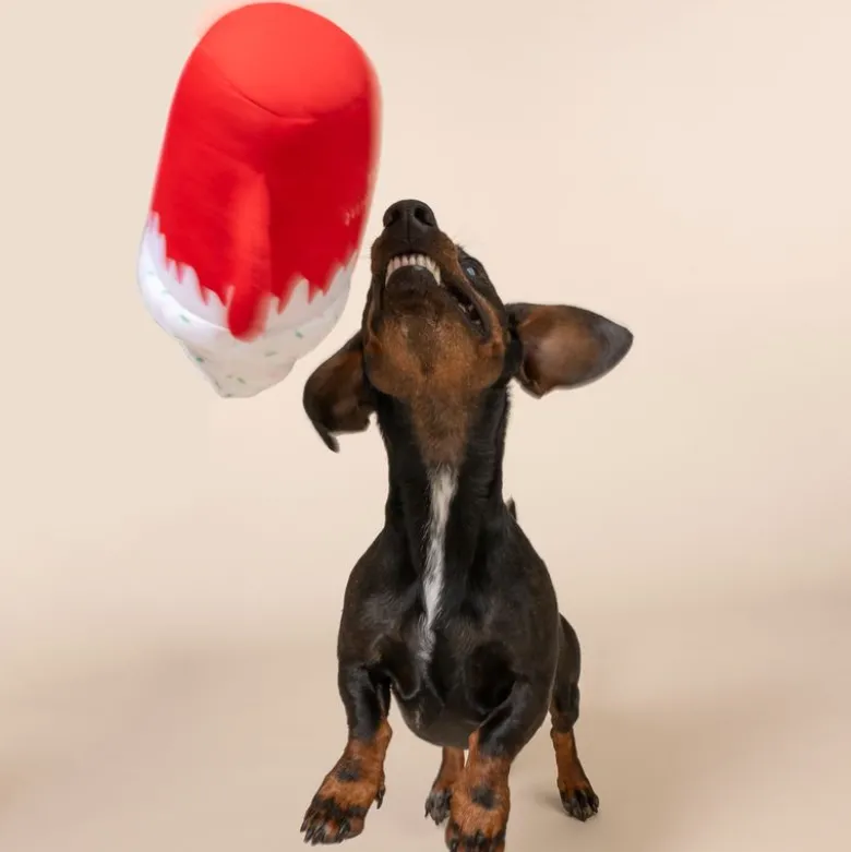TIAKI "Puppermint Mocha" koiran lelu