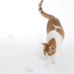 TIAKI-rapinapallosetti kissoille