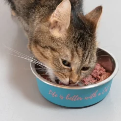 TIAKI-ruokakuppi “Better With A Cat” ruostumatonta terästä