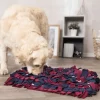 Trixie Activity Sniffing Carpet -aktivointimatto