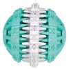 Trixie Denta Fun -pallo