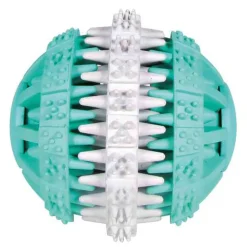 Trixie Denta Fun -pallo