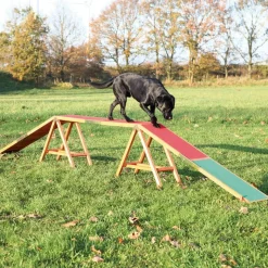 Trixie Dog Activity Agility -puomi