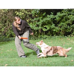 Trixie Dog Activity Disc
