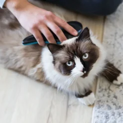 Trixie -pehmeä harja