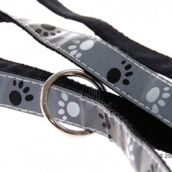Trixie Silver Reflective Paws: kaulapanta + talutushihna