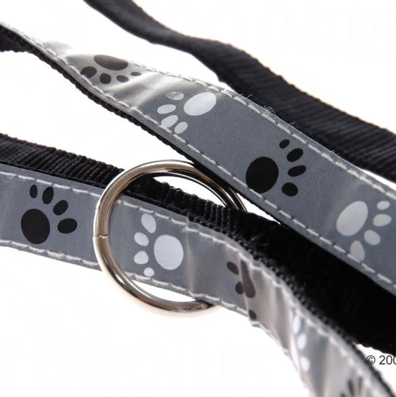 Trixie Silver Reflective Paws: kaulapanta + talutushihna