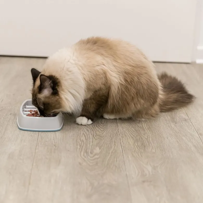 Trixie Slow Feeding -ruokakuppi