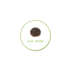 Tutustumispaketti: Purizon 400 g & Cosma Nature 6 x 70 g