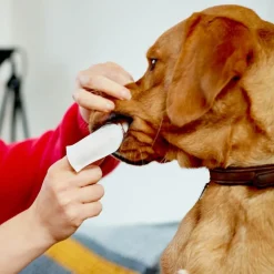 Vet's Best® Clean -hampaidenpuhdistuslaput