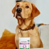 Vet's Best® Clean -korvienpuhdistuslaput