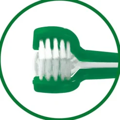 Vet's Best® -hammashoitosetti koirille