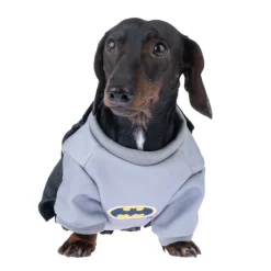 Warner Bros™ DC Batman -koiranpuku