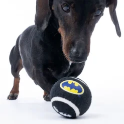 Warner Bros™ DC Batman -tennispallosetti
