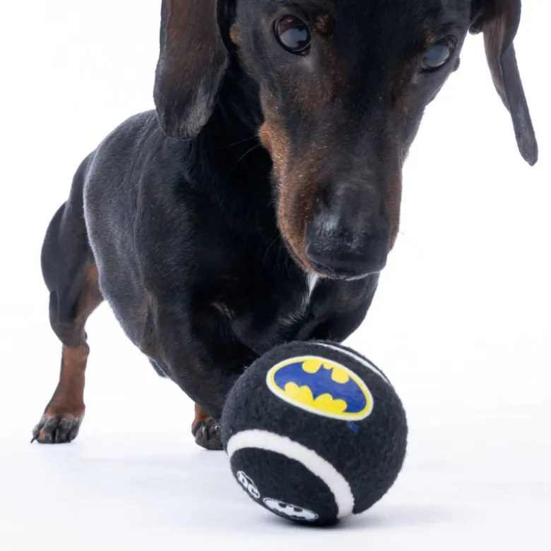 Warner Bros™ DC Batman -tennispallosetti