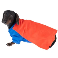 Warner Bros™ DC Superman -koiranpuku