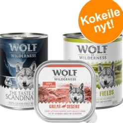 Wolf of Wilderness Adult -kokeilupakkaus