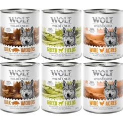 Wolf of Wilderness Adult -säästöpakkaus 12 x 800 g