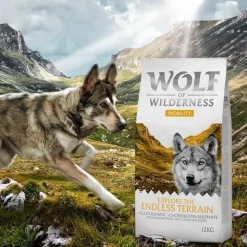 Wolf of Wilderness "Explore The Endless Terrain" Mobility – viljaton