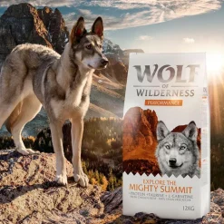 Wolf of Wilderness "Explore The Mighty Summit" Performance – viljaton