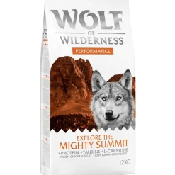 Wolf of Wilderness "Explore The Mighty Summit" Performance – viljaton