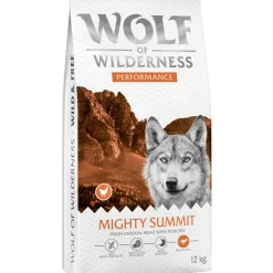 Wolf of Wilderness