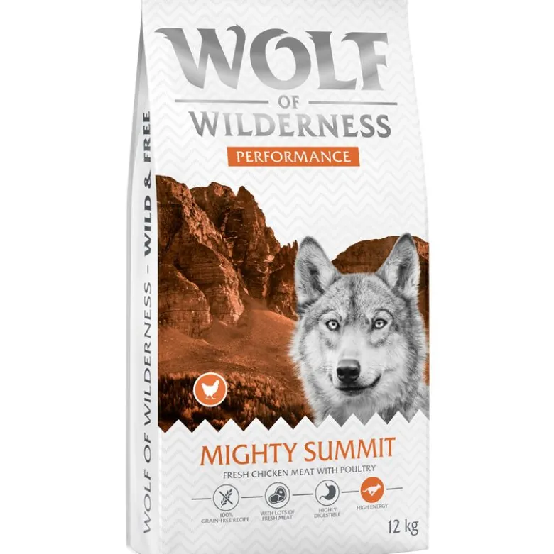 Wolf of Wilderness "Explore The Mighty Summit" Performance – viljaton