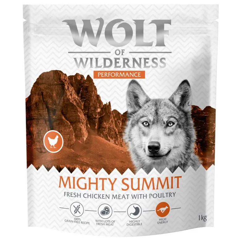 Wolf of Wilderness "Explore The Mighty Summit" Performance – viljaton