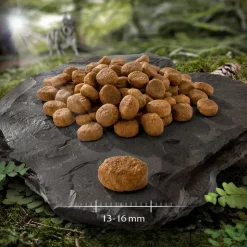 Wolf of Wilderness "Explore The Vast Forests" Weight Management – viljaton