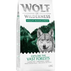 Wolf of Wilderness