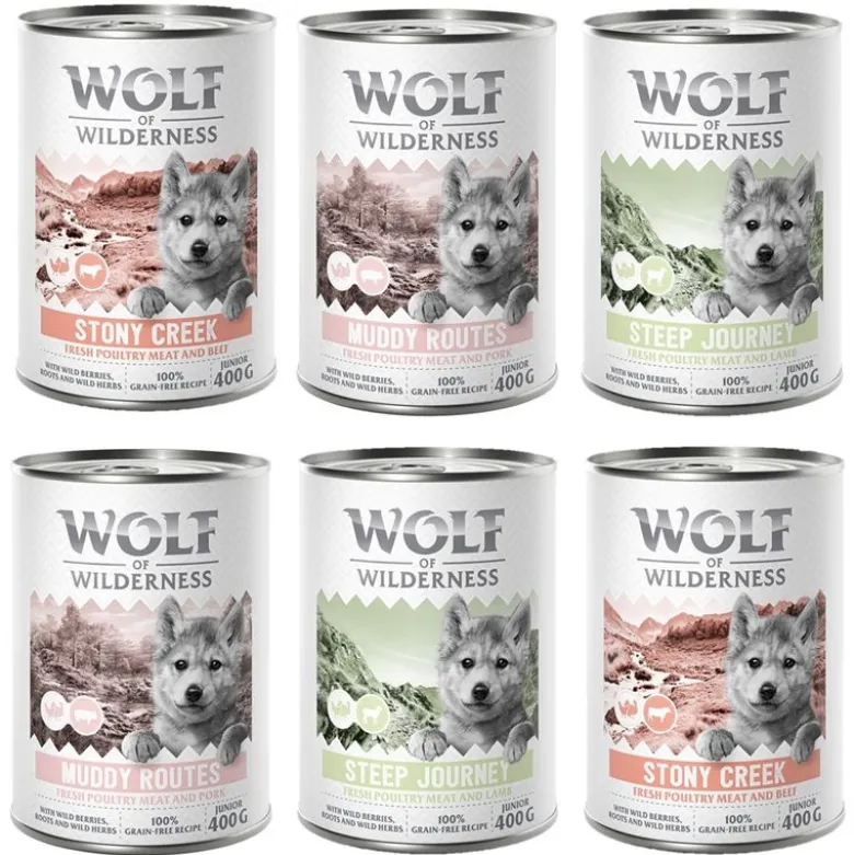 Wolf of Wilderness Junior "Expedition", 6 x 400 g