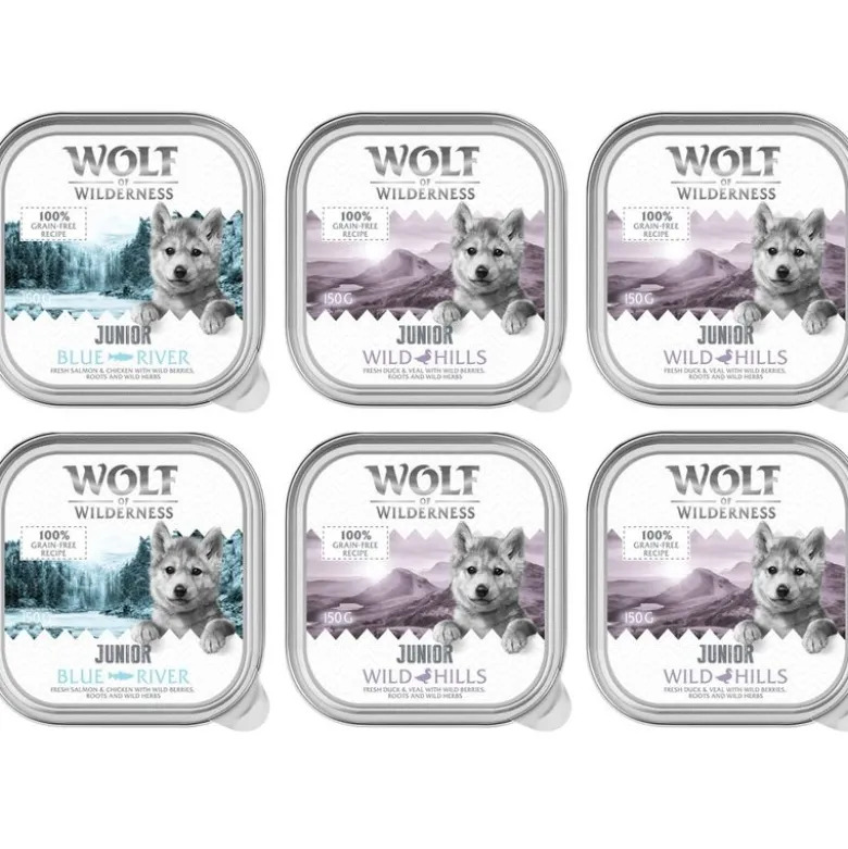 Wolf of Wilderness JUNIOR – kaksiproteiininen resepti 6/24 x 150 g rasia
