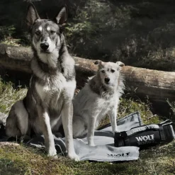 Wolf of Wilderness -matka-alusta