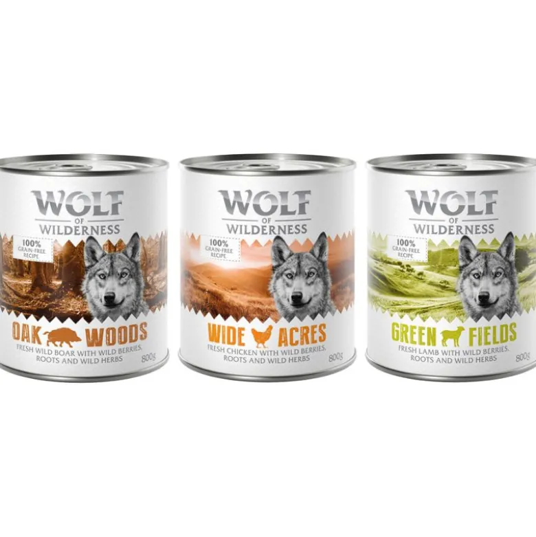 Wolf of Wilderness -megapakkaus 24 x 800 g
