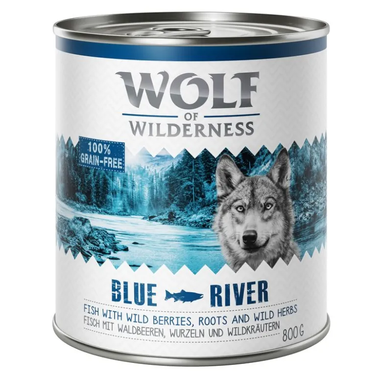 Wolf of Wilderness -megapakkaus 24 x 800 g