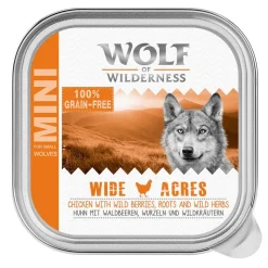Wolf of Wilderness MINI Adult -säästöpakkaus 24 x 150 g – rasia