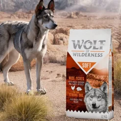 Wolf of Wilderness Soft - säästöpakkaus 2 x 12 kg