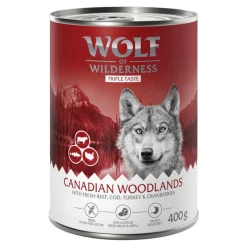 Wolf of Wilderness