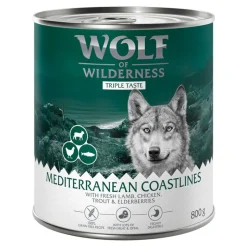 Wolf of Wilderness
