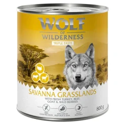 Wolf of Wilderness