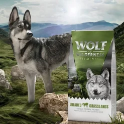 Wolf of Wilderness “Untamed Grasslands” hevonen – viljaton