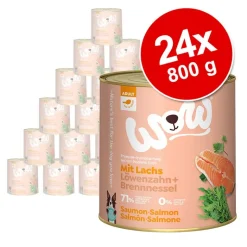 WOW Adult -säästöpakkaus 24 x 800 g