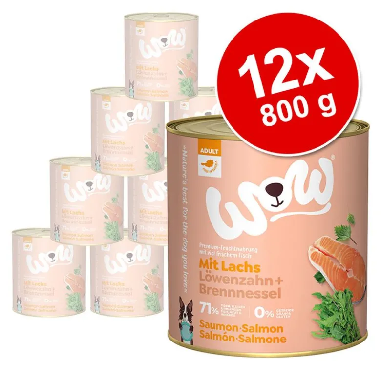 WOW Adult -säästöpakkaus 12 x 800 g