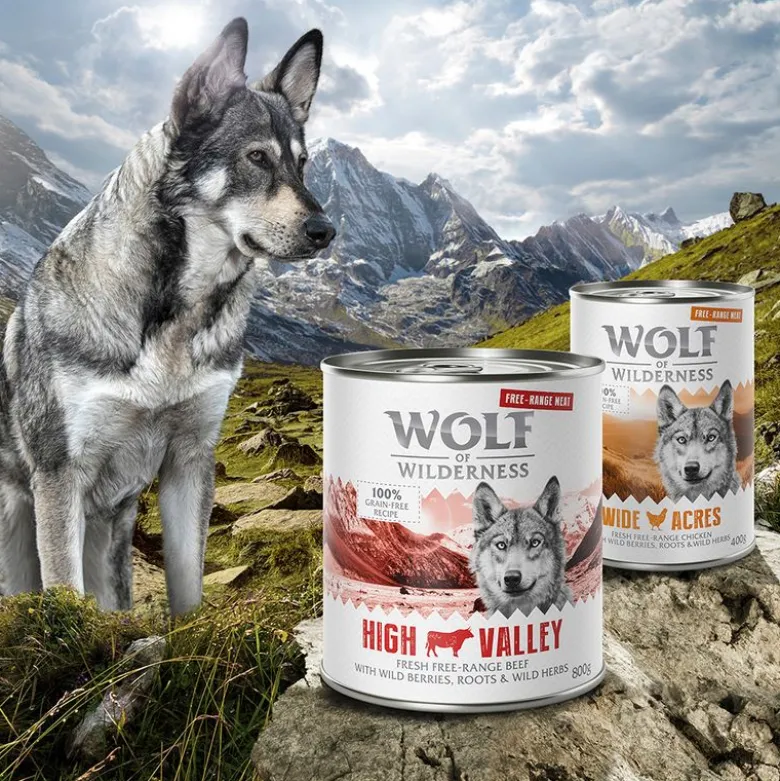 6 x 800 g Wolf of Wilderness -lajitelmat