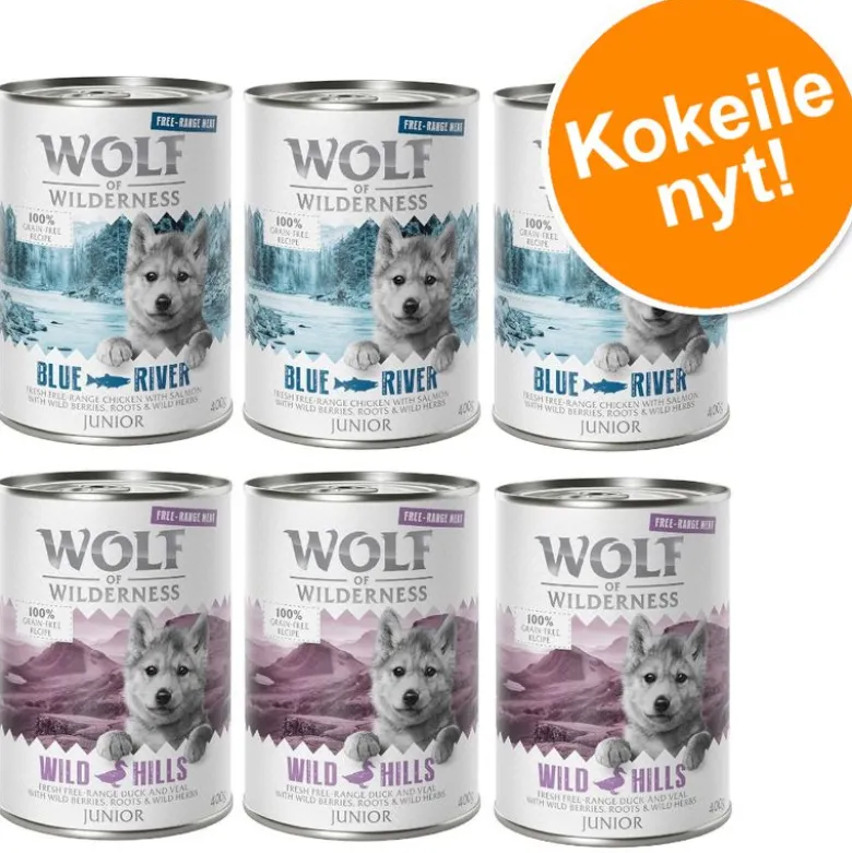 6 x 400 g Wolf of Wilderness -lajitelmat
