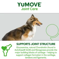 YuMOVE Joint Care aikuisille koirille