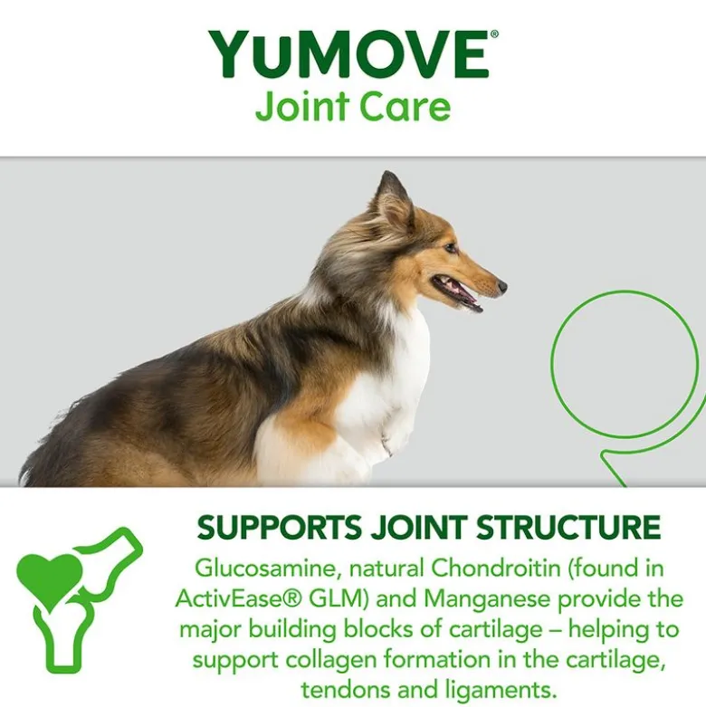 YuMOVE Joint Care aikuisille koirille