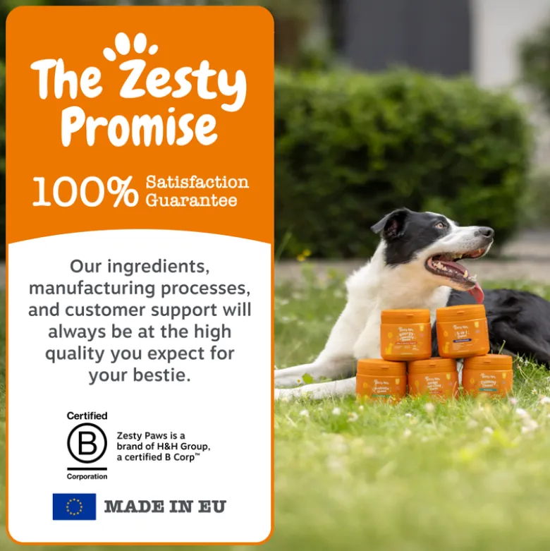 Zesty Paws Senior Hip & Joint Chews kalkkuna