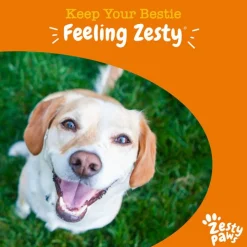 Zesty Paws Urinary Care Chews Cranberry